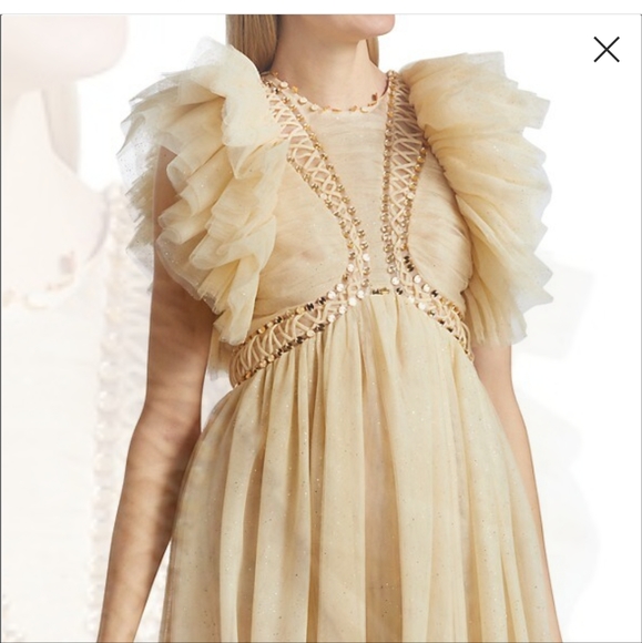 Zimmermann Dancer Glitter Tulle Ruffle Gown sz 1 NWT - Picture 2 of 9
